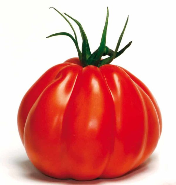 Tomate Corazon F1