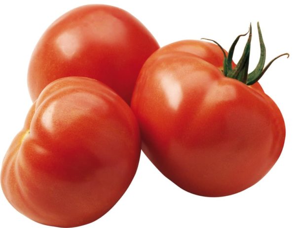 Tomate greffée Maestria F1 – Image 2