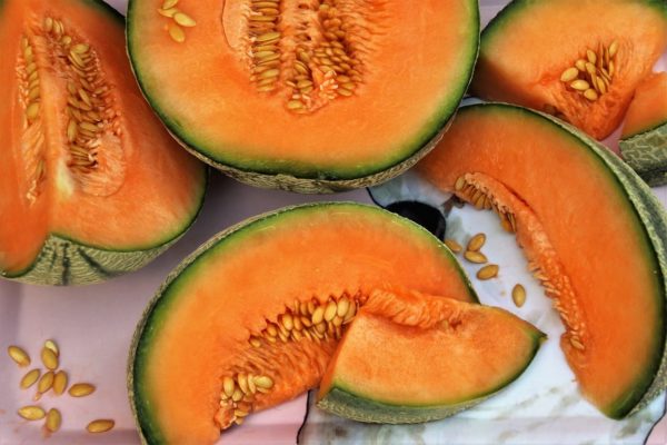 Melon Ardor®F1