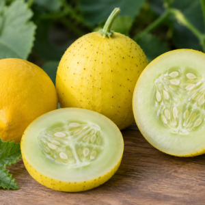 Concombre Citron